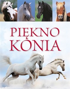 Picture of Piękno konia