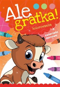 Picture of Ale gratka! Zwierzęta domowe