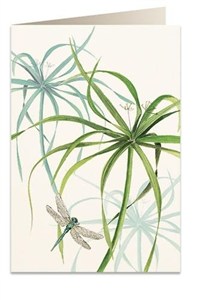 Picture of Karnet B6 + koperta 6029 Ważka