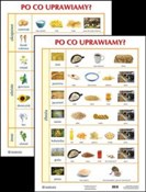 Plansza Po... -  Polish Bookstore 