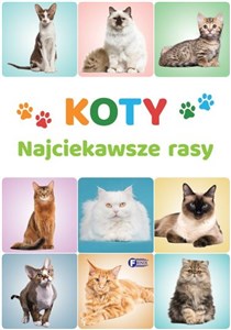 Picture of Koty. Najciekawsze rasy