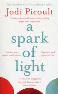 Picture of A Spark of Light