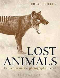 Picture of Lost Animals by Errol Fuller