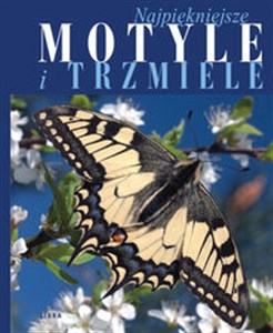 Picture of Najpiękniejsze motyle i trzmiele
