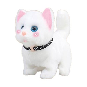 Obrazek Twój pupilek Kotek biały