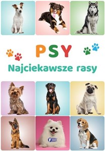 Obrazek Psy. Najciekawsze rasy