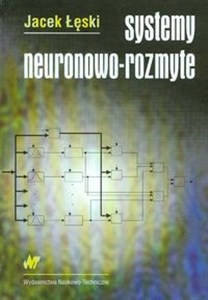 Picture of Systemy neuronowo-rozmyte