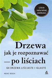 Picture of Drzewa - jak je rozpoznawać po liściach