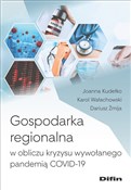 Książka : Gospodarka... - Joanna Kudełko, Karol Wałachowski, Dariusz Żmija