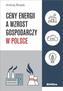 Obrazek Ceny energii a wzrost gospodarczy w Polsce