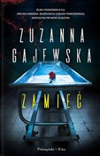 polish book : Zamieć - Zuzanna Gajewska
