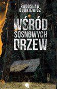 Wśród sosn... - Radosław Budkiewicz -  foreign books in polish 