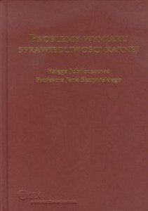 Obrazek Problemy wymiaru sprawiedliwości karnej Księga Jubileuszowa Profesora Jana Skupińskiego