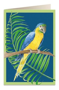 Picture of Karnet B6 + koperta 6050 Papuga