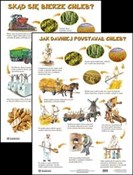 Zobacz : Plansza Sk...