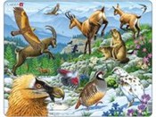 Alpy -  Książka z wysyłką do UK