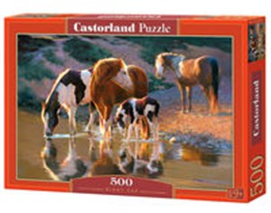 Picture of PuzzleNight Cap 500