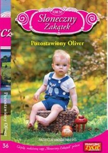 Obrazek Słoneczny Zakątek Tom 36 Pozostawiony Oliwier