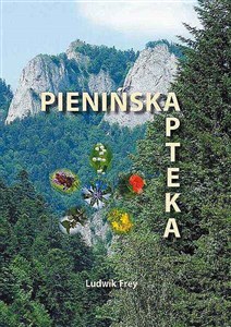 Picture of Pienińska apteka