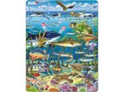 Morze Półn... -  foreign books in polish 