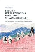 polish book : Ludowy obr... - Ilona Kulak