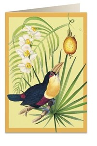 Obrazek Karnet B6 + koperta 6053 Tukan i owoc