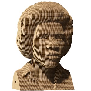 Obrazek Puzzle 3D Jimi Hendrix Cartonic