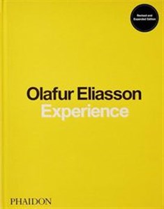 Picture of Olafur Eliasson Experience