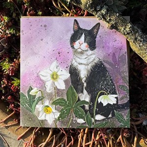 Picture of Karnet Kot i ciemierniki