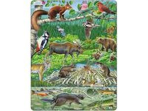 Obrazek Las nordycki