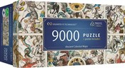 Puzzle 900... -  books from Poland