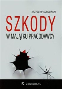 Obrazek Szkody w majątku pracodawcy