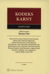 Picture of Kodeks karny Komentarz