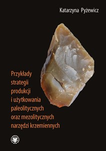 Obrazek Przykłady strategii produkcji i użytkowania paleolitycznych oraz mezolitycznych narzędzi krzemiennych