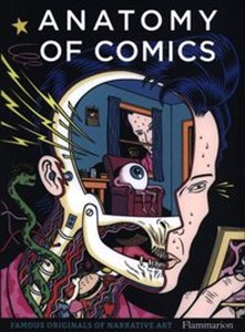 Obrazek Anatomy of Comics Famous Originals of Narrative Art.