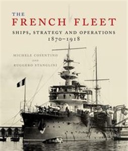 Picture of The French Fleet