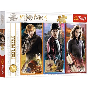 Picture of Puzzle 200 W świecie magii i czarów Harry Potter 13277