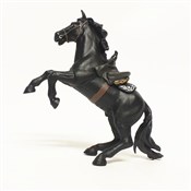 Koń Zorro -  books from Poland