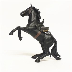 Picture of Koń Zorro