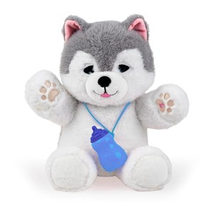 Picture of Piesek Husky