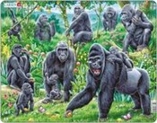 Polska książka : Goryle