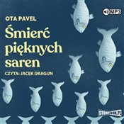 [Audiobook... - Pavel Ota -  foreign books in polish 