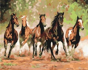 Obrazek Malowanie po numerach Stado koni 40x50cm