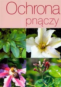 Picture of Ochrona pnączy