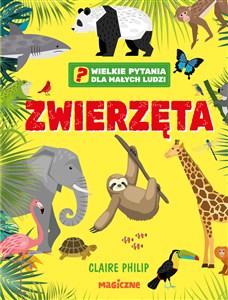 Obrazek Brodzik dla malucha Tęcza