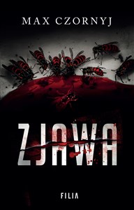 Picture of Zjawa