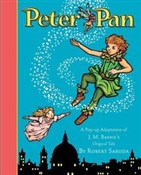 Polska książka : Peter Pan - Robert Sabuda