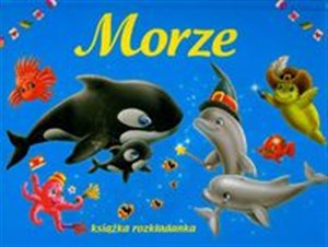 Picture of Morze Książka rozkładanka