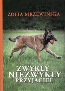 Obrazek Zwykły niezwykły przyjaciel