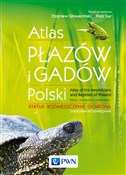 polish book : Atlas płaz... - Zbigniew Głowaciński, Piotr Sura